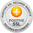 SSL Secure Website